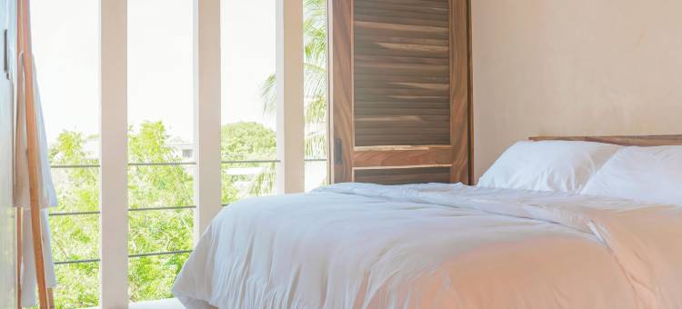 蓬塔莫雷洛斯(Condominios Punta Morelos)图片