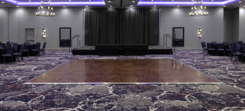 希尔顿花园旅馆-泰克瑟马活动中心丹尼森谢尔曼(Hilton Garden Inn Denison/Sherman/at Texoma Event Center)图片