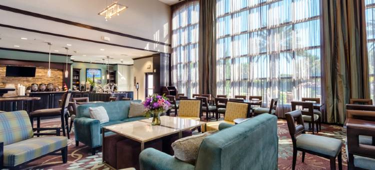 休斯敦-NASA/清湖Staybridge Suites酒店by IHG(Staybridge Suites HOUSTON-NASA/CLEAR LAKE by IHG)图片