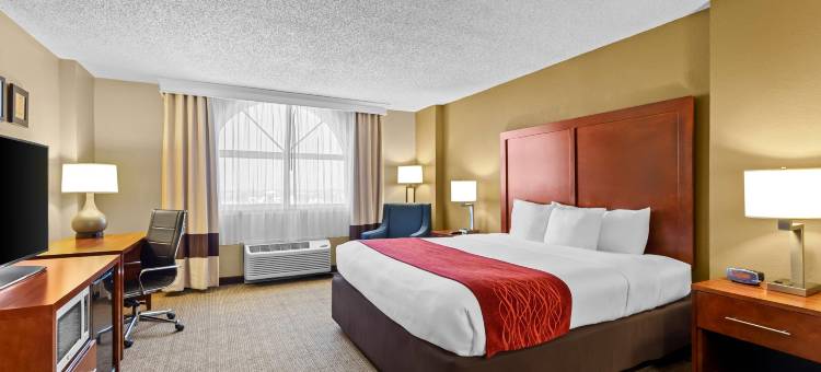 北莱克兰I-4舒适套房酒店(Comfort Inn & Suites Lakeland North I-4)图片