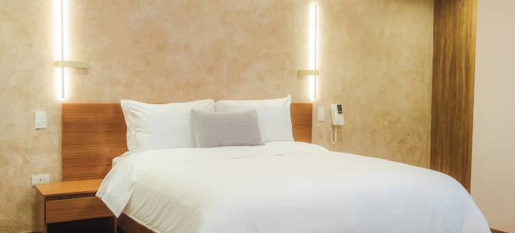 萨亚酒店及套房(Saya Hotel & Suites)图片