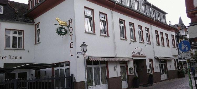 金色羔羊酒店(Hotel Goldenes Lamm)图片