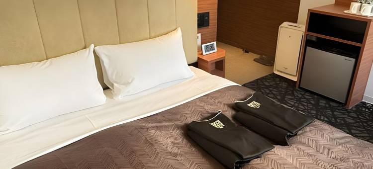 阿斯科特广场酒店(Place Hotel Ascot)图片