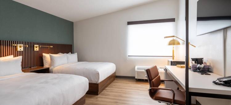 舒适酒店 - 戴达姆-波士顿大都会西区(Comfort Inn - Dedham-Boston MetroWest)图片