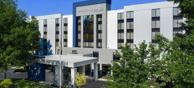 亚特兰大周界中心万豪SpringHill Suites酒店(SpringHill Suites Atlanta Perimeter Center)图片