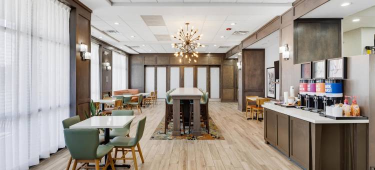 密歇根州底特律迪尔伯恩希尔顿欢朋酒店(Hampton Inn Detroit/Dearborn)图片