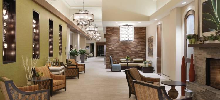 希尔顿花园酒店-罗切斯特市区(Hilton Garden Inn Rochester-Downtown)图片