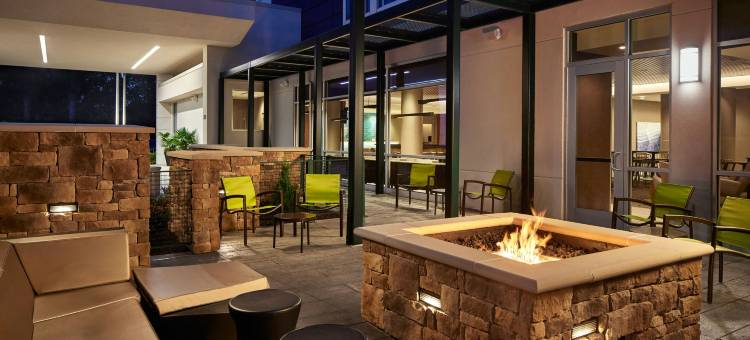 弗雷德里卡SpringHill Suites酒店(SpringHill Suites Frederica)图片