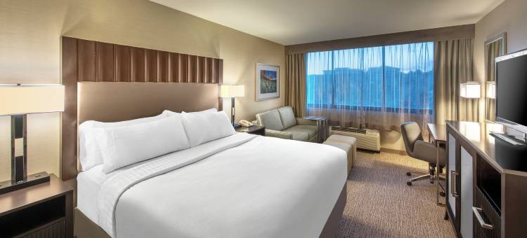 Holiday Inn 丹佛莱克伍德(Holiday Inn DENVER LAKEWOOD by IHG)图片