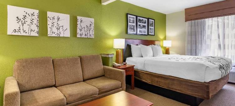 舒眠套房酒店(Sleep Inn & Suites Stockbridge Atlanta South)图片