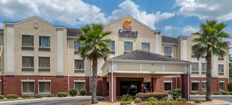 斯泰茨伯勒大学区舒适套房酒店(Comfort Inn & Suites Statesboro - University Area)图片