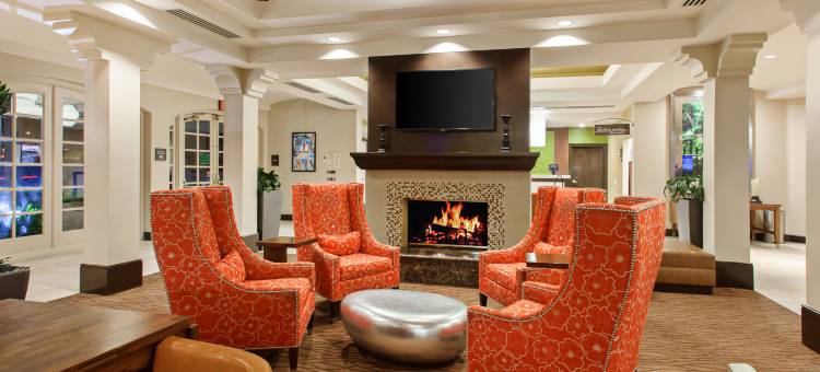 瓦伦西亚六旗希尔顿花园酒店(Hilton Garden Inn Valencia at Six Flags)图片