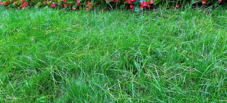 吉大一院附近民宿(青海街分店)图片