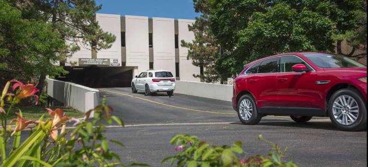 奥克布鲁克芝加哥希尔顿逸林酒店(DoubleTree by Hilton Chicago - Oak Brook)图片