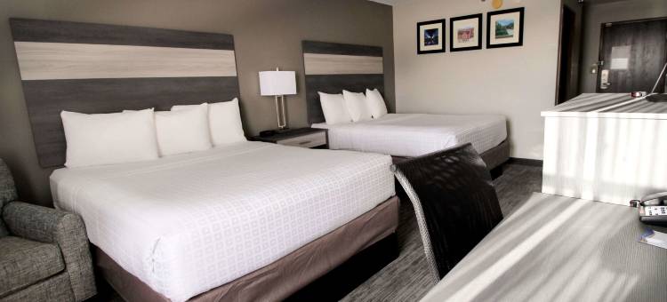 拉斐特呗盟套房酒店(Baymont Inn & Suites by Wyndham Lafayette / Purdue Area)图片