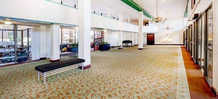 克拉丽奥酒店(Clarion Hotel)图片