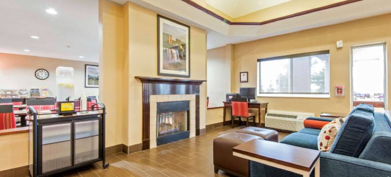 舒适套房酒店罗切斯特亨利埃塔大学区(Comfort Suites Rochester Henrietta University Area)图片