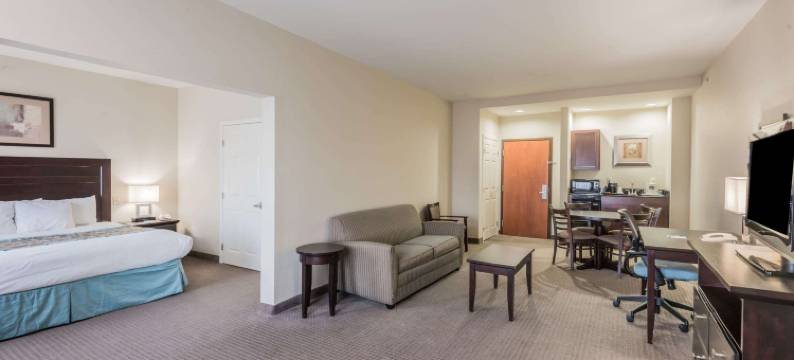 纽布朗费尔斯蔚景温德姆酒店(Wingate by Wyndham New Braunfels)图片