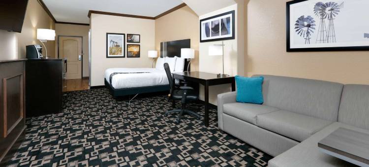 大斯普林拉昆塔温德姆套房酒店(La Quinta Inn & Suites by Wyndham Big Spring)图片