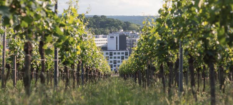 斯图加特费尔巴哈形式 the niu假日酒店(Holiday Inn - the niu, Form Stuttgart Feuerbach)图片