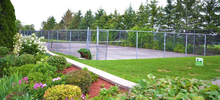 纽马基特旅馆(Newmarket Inn)图片