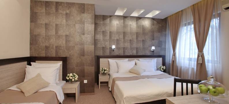 佳妮沃思福酒店(Garni Hotel Vozarev)图片