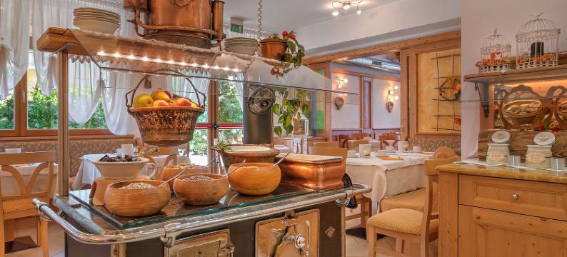 加尼拉维尼亚酒店 - 限成人(Hotel Garni la Vigna - Adult Friendly)图片