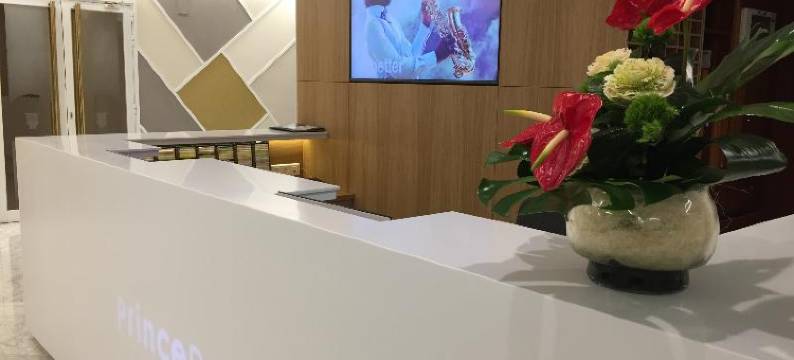 王子公园住宿(Prince Park)图片