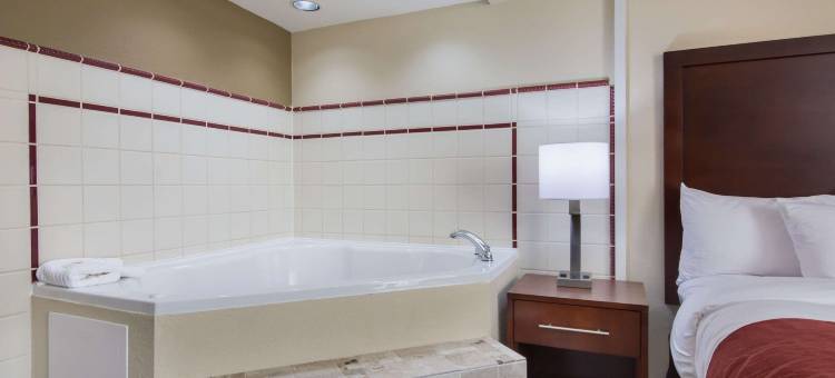 舒适酒店(Comfort Inn)图片