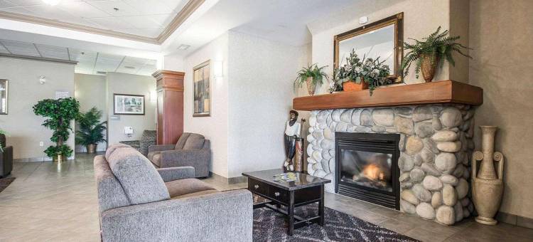 舒适套房酒店(Comfort Inn & Suites)图片