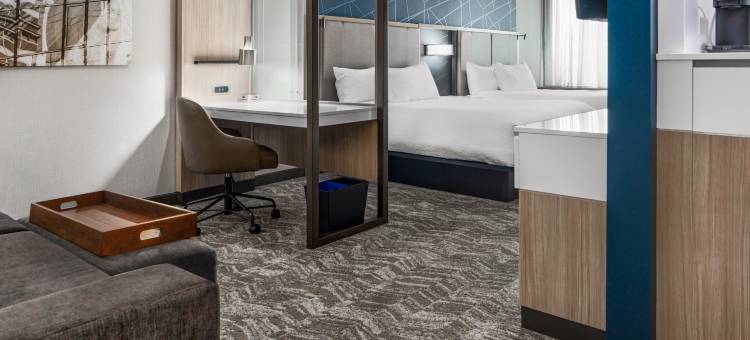 夏洛特机场莱克波因特SpringHill Suites酒店(SpringHill Suites Charlotte Airport Lake Pointe)图片