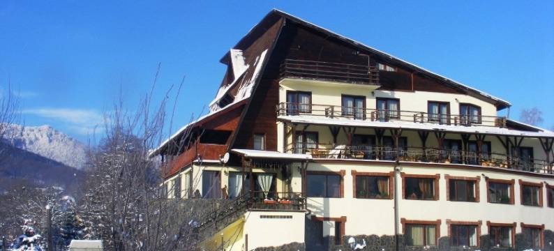 米娅贝尔维迪尔国际酒店(Bran Belvedere International)图片