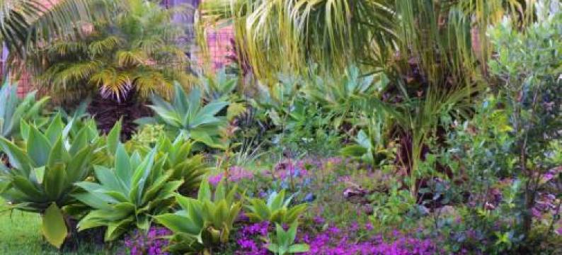 Harbour View Retreat Mangonui图片