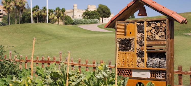 巴塞罗蒙特卡斯蒂略高尔夫酒店(Barceló Montecastillo Golf)图片