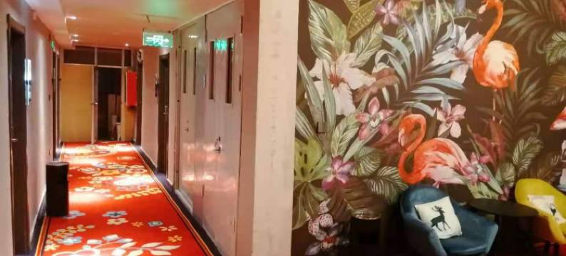 扶沟蓝鹊酒店图片