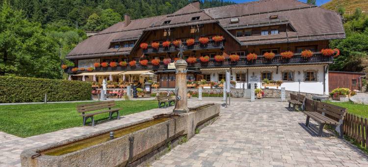 霍夫古特斯特儿的酒店(Hotel Hofgut Sternen)图片