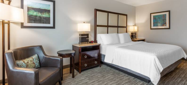 智选假日套房酒店伟业LEA(Holiday Inn Express & Suites ALBERT LEA - I-35 by IHG)图片