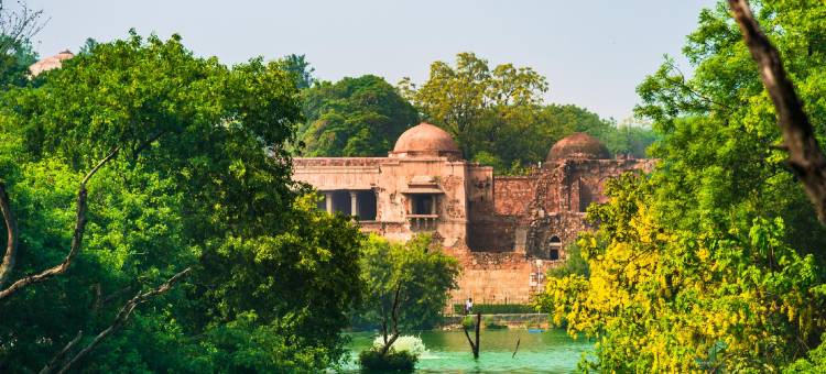 彩虹民宿(Rainbow Residency)图片