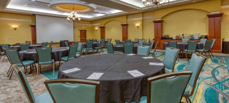 圣路易斯-切斯特菲尔德德鲁里广场酒店(Drury Plaza Hotel St. Louis Chesterfield)图片
