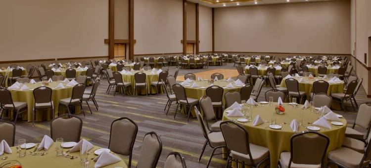 伊拉普阿托广场画廊(Galeria Plaza Irapuato)图片