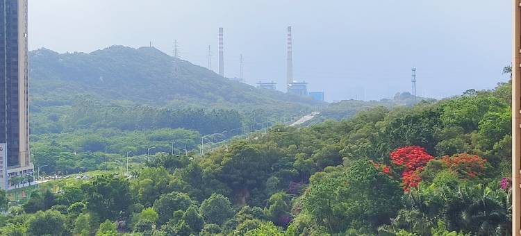 归处小寓公寓(观海路分店)图片