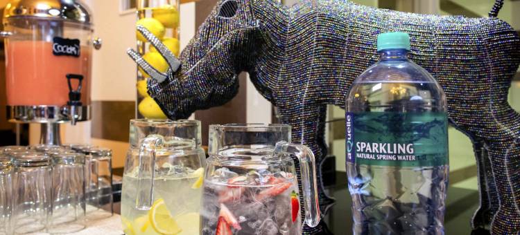 约翰内斯堡米德兰美居酒店(Mercure Johannesburg Midrand Hotel)图片