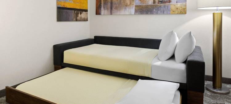 费拉格尔斯塔夫万豪SpringHill酒店(SpringHill Suites Flagstaff)图片