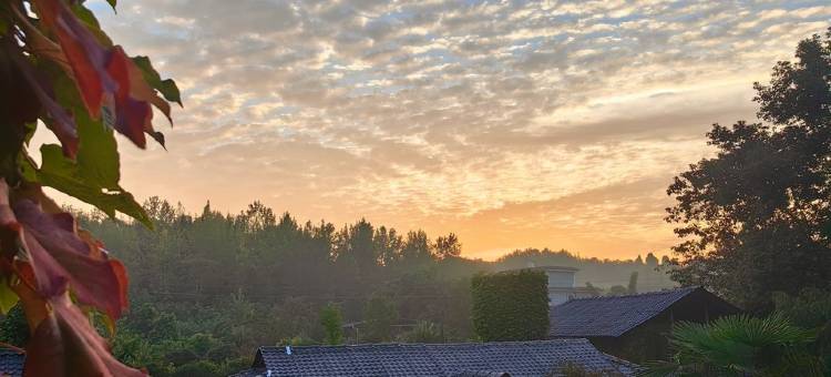 梅花山庄静庭民宿(紫云路2号分店)图片