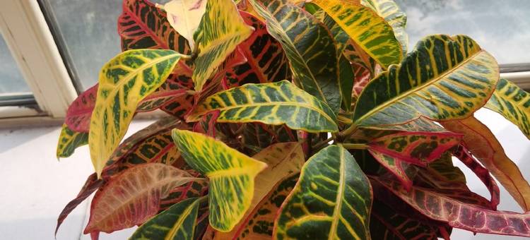 风情假日公寓(北都街3号分店)图片