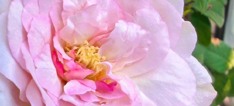 知竹居民宿(幸乐路分店)图片