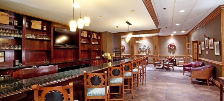 林奇堡豪华庄园酒店(IHG旗下)(Lynchburg Grand Estate by IHG)图片