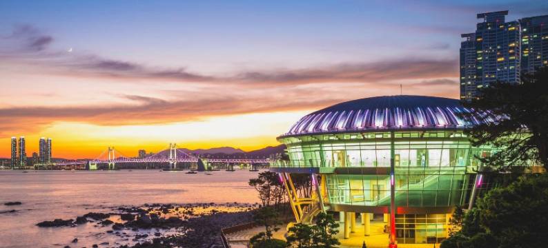 阳树酒店(SUNTREE Hotel)图片