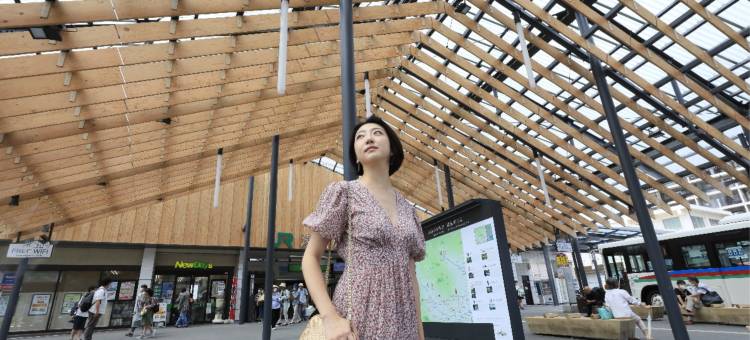 汤河原风雅(Yugawara Fuga)图片