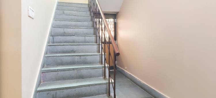 Super Capital O Hotel the Tulip图片